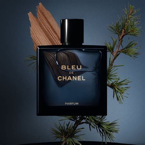 chanel bleu de chanel parfum pour homme 50ml|chanel bleu parfum farmers.